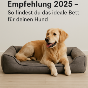 Hundebett Empfehlung 2025