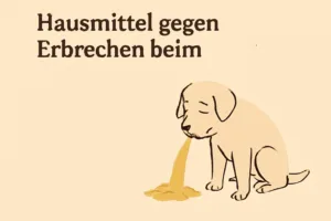 Ursachen für Erbrechen bei Hunden