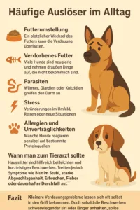 Hausmittel bei Hundekot Durchfall