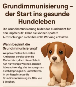 Impfungen für Hunde so wichtig